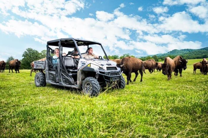 Eureka Springs Personal Safari Tour | Promised Land Zoo